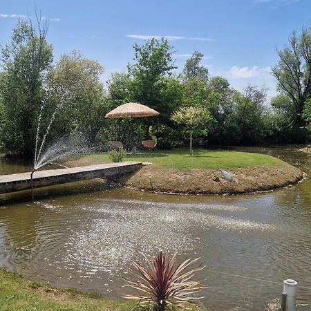 Maison De Campagne Soings-en-Sologne Екстериор снимка