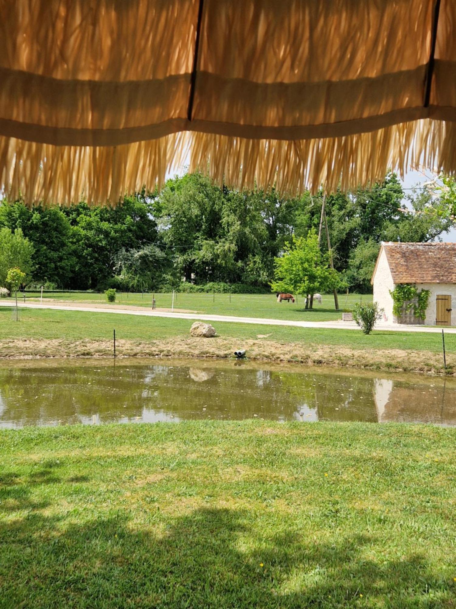 Maison De Campagne Soings-en-Sologne Екстериор снимка